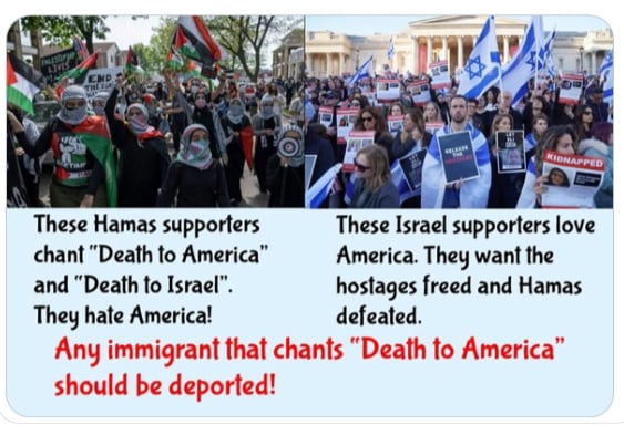 Here they are folks!  The law abiding Rashida Talib constituents who would be happy to put and end to PRIDE month!  But wait I have it wrong , they want “D