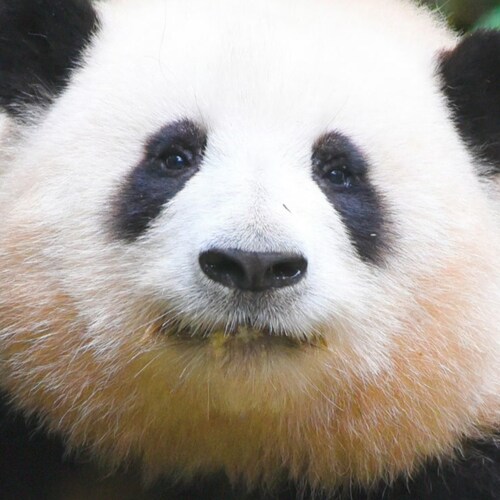 Visit zettamaready's profile on GETTR. View their posts, photos, videos, and connect with them on the social platform.