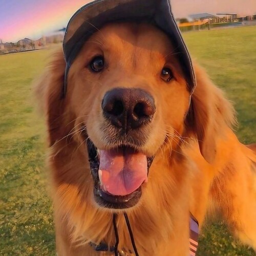 Cvvhhjjjj g if ckgxhxkhxlh cjlccifififigigogigifirifigifpfuofuofufigohlhlhlhlhlhkgifivjvcuockdkhckcoblbohlblnlblblblnlvj...