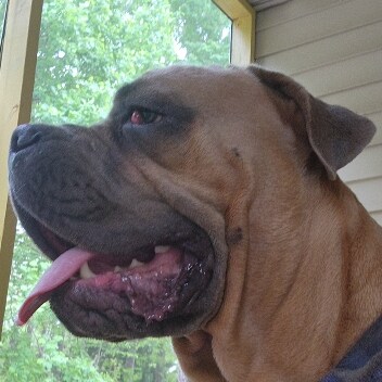 Visit Coffeeholic's profile on GETTR. View their posts, photos, videos, and connect with them on the social platform.