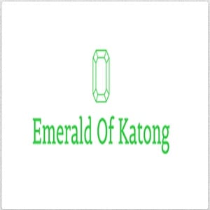 Emerald of Katong is a New Launch Condo at 29 Jalan Tembusu by Sim Lian Group, just 7 mins walk to the Tanjong Katong MRT station.