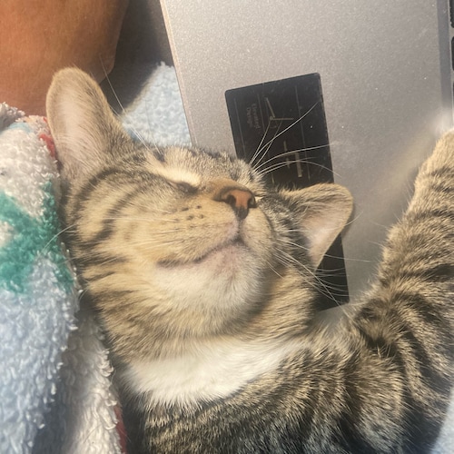 World news and Bible Prophecy.Husband, Father, Christ Follower.Evangelist."  Book me to speak preach at your church stre...