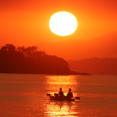 Visit theeyesonproject's profile on GETTR. View their posts, photos, videos, and connect with them on the social platform.