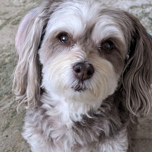 I have a love of God family and country.. Can smell a line of bullshit a mile away..