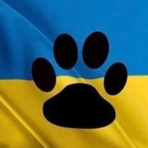 We are a non profitable organisation dedicated to rescuing homeless, abandoned and suffering war animals in 🇺🇦.