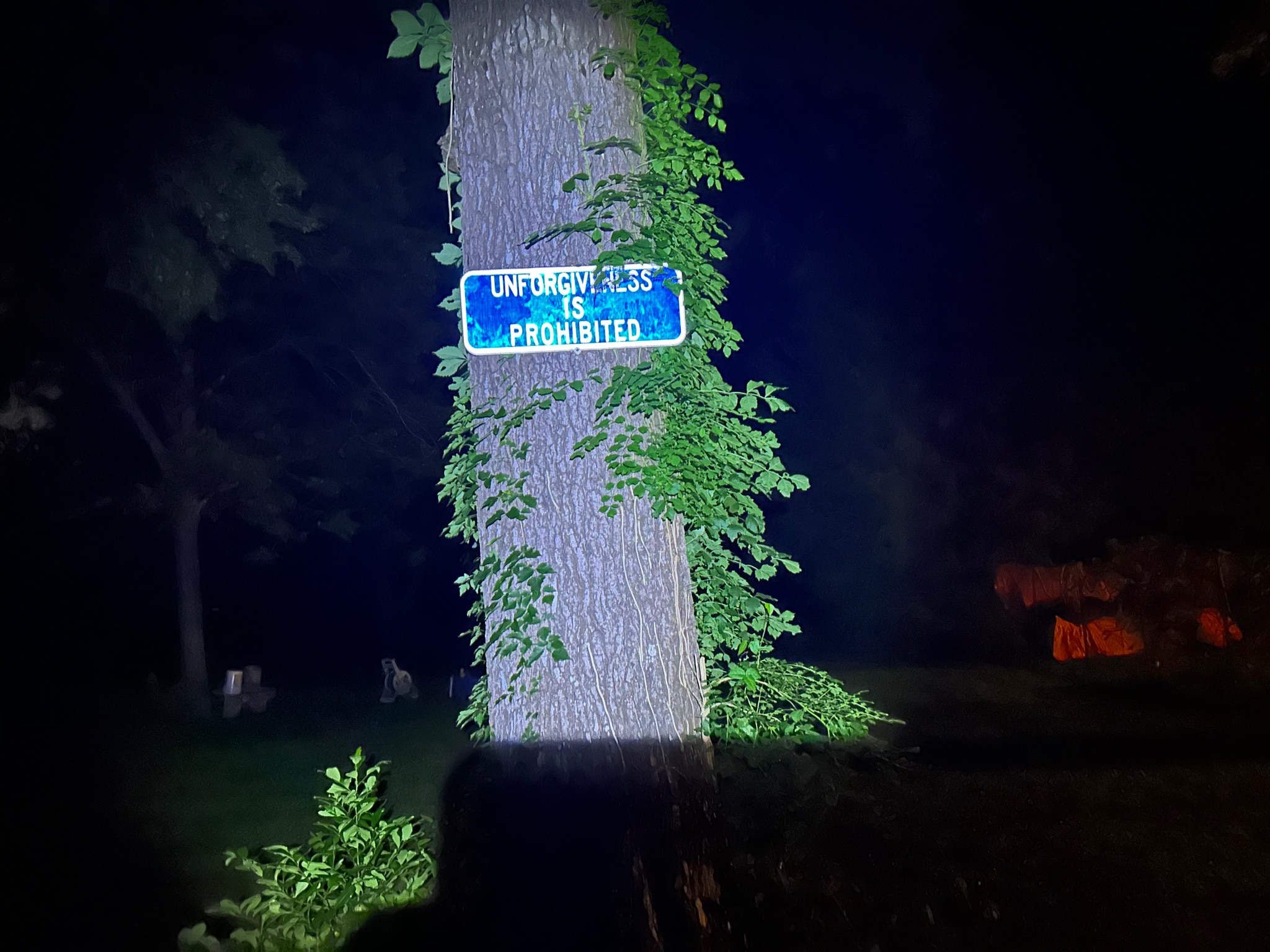 View DrillSargeHippie59's post on GETTR. Join the discussion, share your thoughts, and connect with the community.