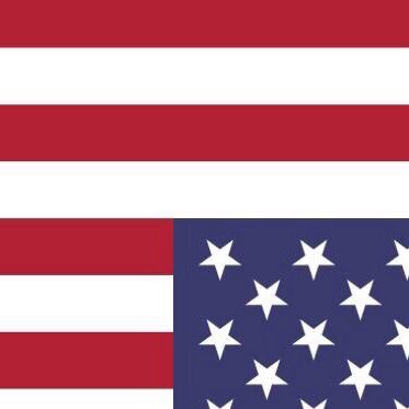 🇺🇸 TRUMP WON! 🇺🇸