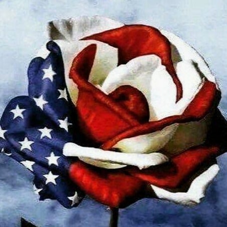 Aransas County TX Republican Party Chair.  Retired Navy Senior Chief and prior City Council Person. EXTREME MAGA and proud of it.