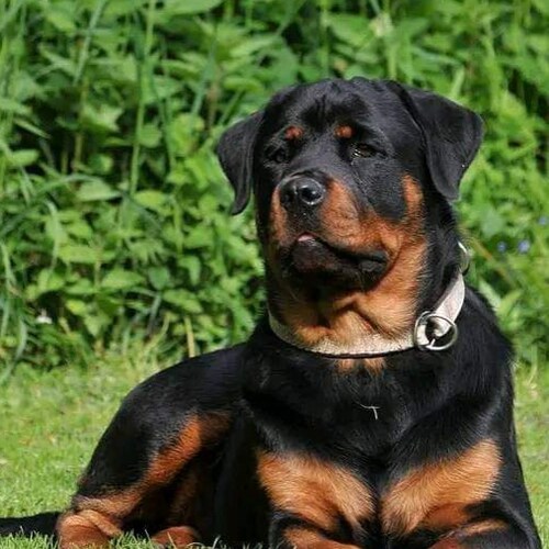 Visit @Mdl-Murray7's profile on GETTR. View their posts, photos, videos, and connect with them on the social platform.