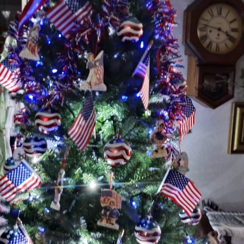 Warroom posse member, God fearing granny and patriot.