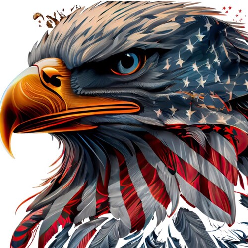 God first
MAGA
Trump is my president