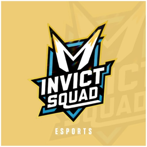 Somos mais do que uma equipe; somos uma força imparável moldada pela determinação, habilidade e paixão pelo jogo. nossa ...