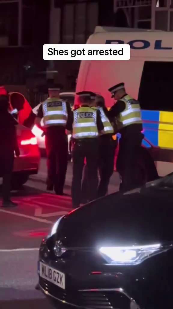 Police vehicles destroyed , lorries looted, busses set on fire in Harehills in Leeds by hundreds of ...