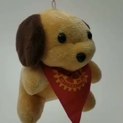 Um dos objetivos do *Rotary* é acabar com a *Poliomielite* no mundo. Para custear o trabalho de vaci...