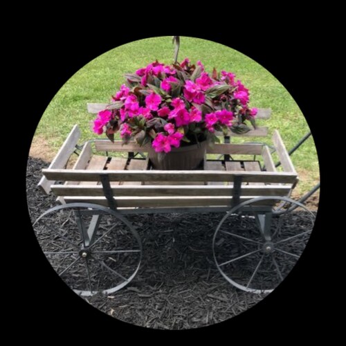 God blesses America! God blesses the New Federal State of China!