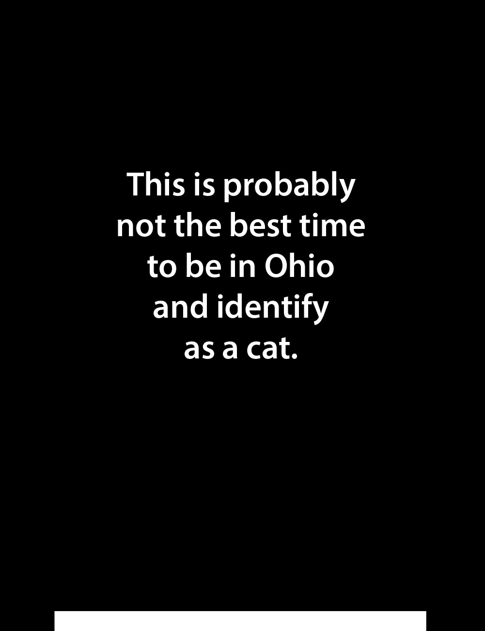 #cats #hatians #hatianseatingcats #gender #ohio 

