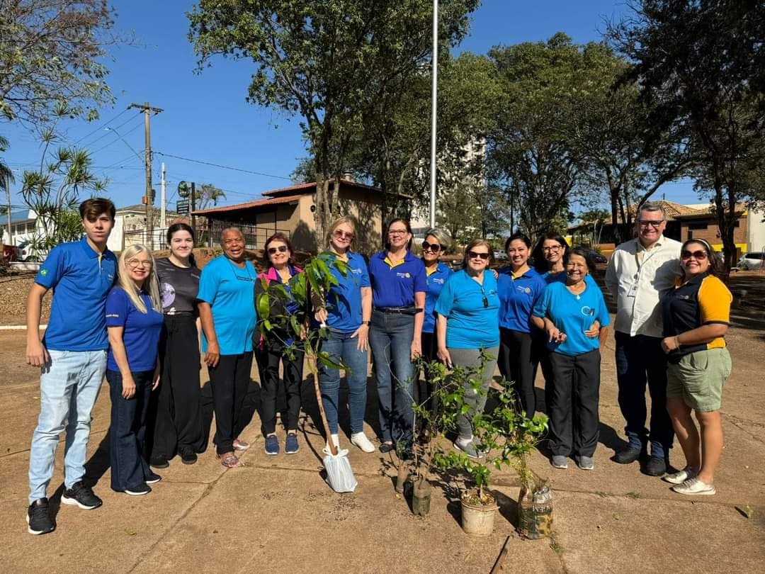 Texto do Gov. Israel Alfonso:

O Rotary Club de Lins - Sul participou, nesta terça-feira, de um proj...