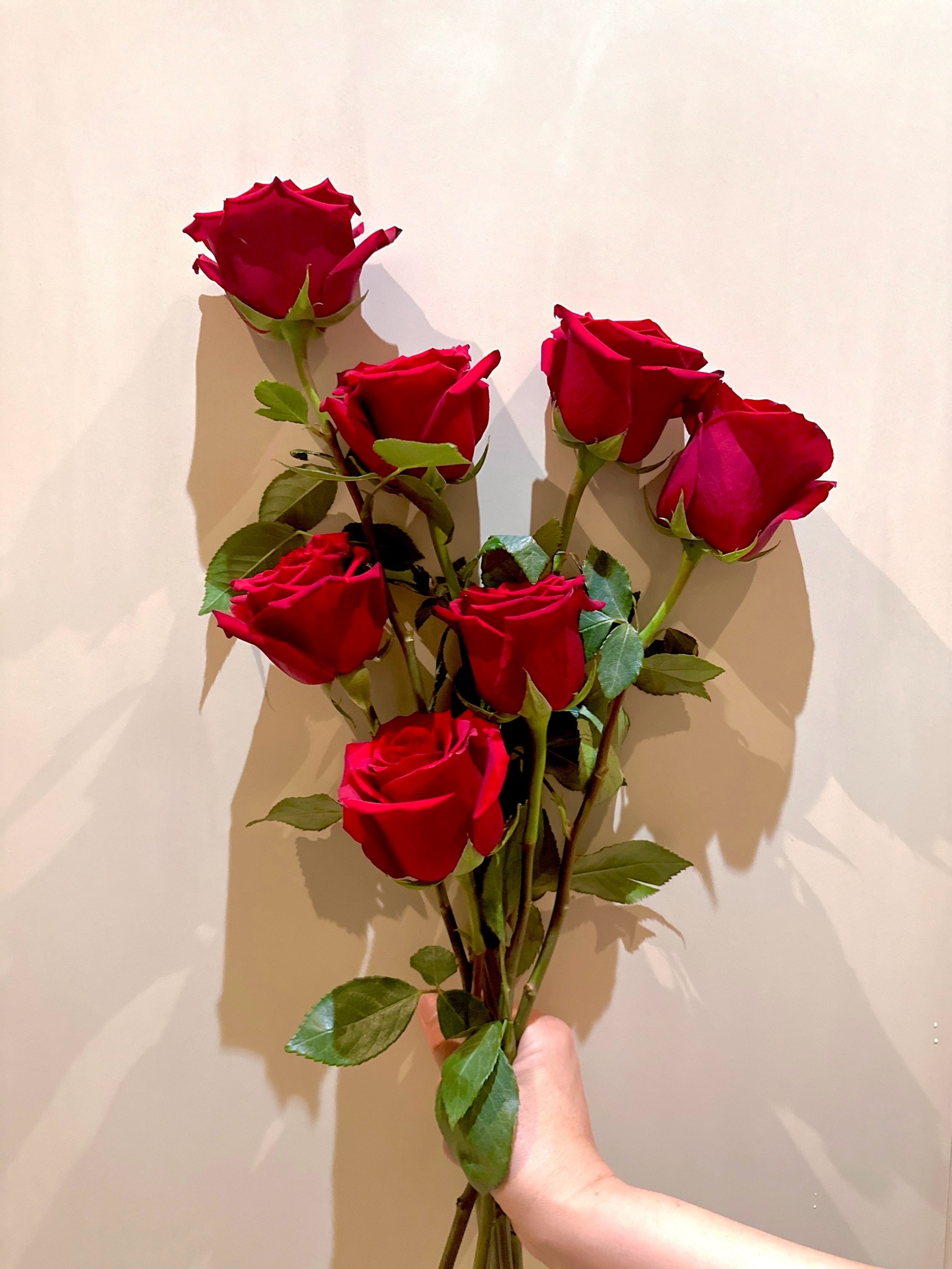 爸爸委托律师给妈妈定了7只爱意浓浓的红玫瑰🌹

感谢战友们祝福的留言，妈妈都看到了，她非常开心。正如爸爸今天电话里给妈妈说的：“今天开始我们的第二个40年开始了！” ❤️

特别的时期，最独特的浪漫...