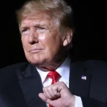 Love Tommy Robinson and President Donald J Trump!!!! ULTRA MAGA-FJB. I am a half English half Texan Pureblood!!! MEGA - Make England Great Again 🇬🇧♥️🇺🇸