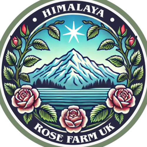 战友们好！
由于春节将至，探索蓝海节目将在下两个星期里临时调整节目的播出时间，分别为星期一、三、五晚上8：00（英国）直播，敬请战友观看！！
-探索蓝海节目组
