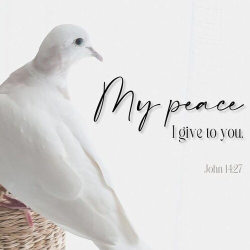 O melhor lugar do mundo, é onde a vida respira tranquila...