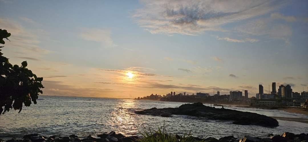 Texto do Gov. Israel Alfonso:

Rotary é serviço prestado para a melhoria de vida das pessoas. Só con...