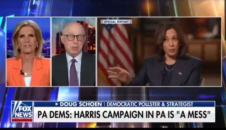 WiseEnough on GETTR : Democrat pollster Doug Schoen sounds the alarm for Kamala.

Is the blue wal crumbling?

Take 10 people to vote early