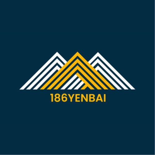 At 186 Yen Bai, we proudly stand as pioneers in the field of plywood manufacturing, guided by a steadfast commitment to ...