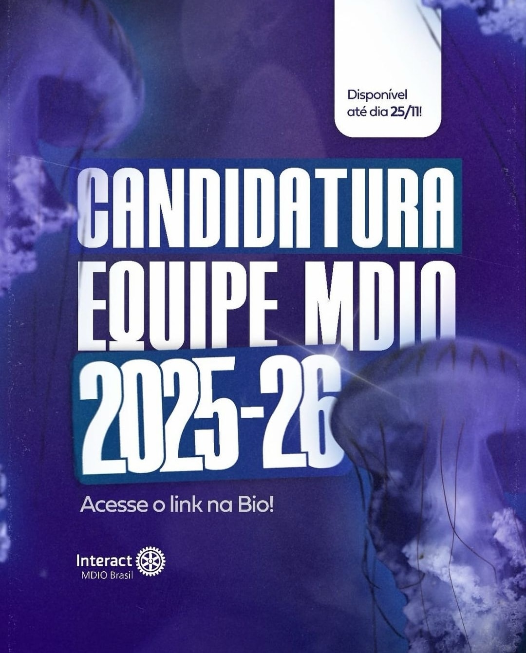 Texto do MDioInteractBr:

CANDIDATURAS ABERTAS!

Você já pensou em fazer a diferença no Interact em ...