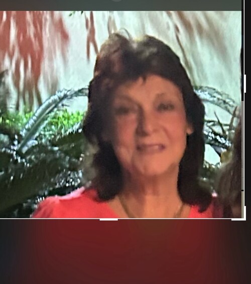 Visit Kittyc52🍊's profile on GETTR. View their posts, photos, videos, and connect with them on the social platform.