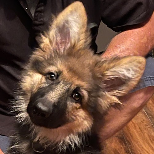 Visit mybigbaddad's profile on GETTR. View their posts, photos, videos, and connect with them on the social platform.