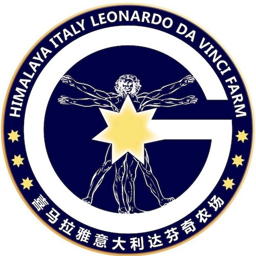 （战友互粉友爱）