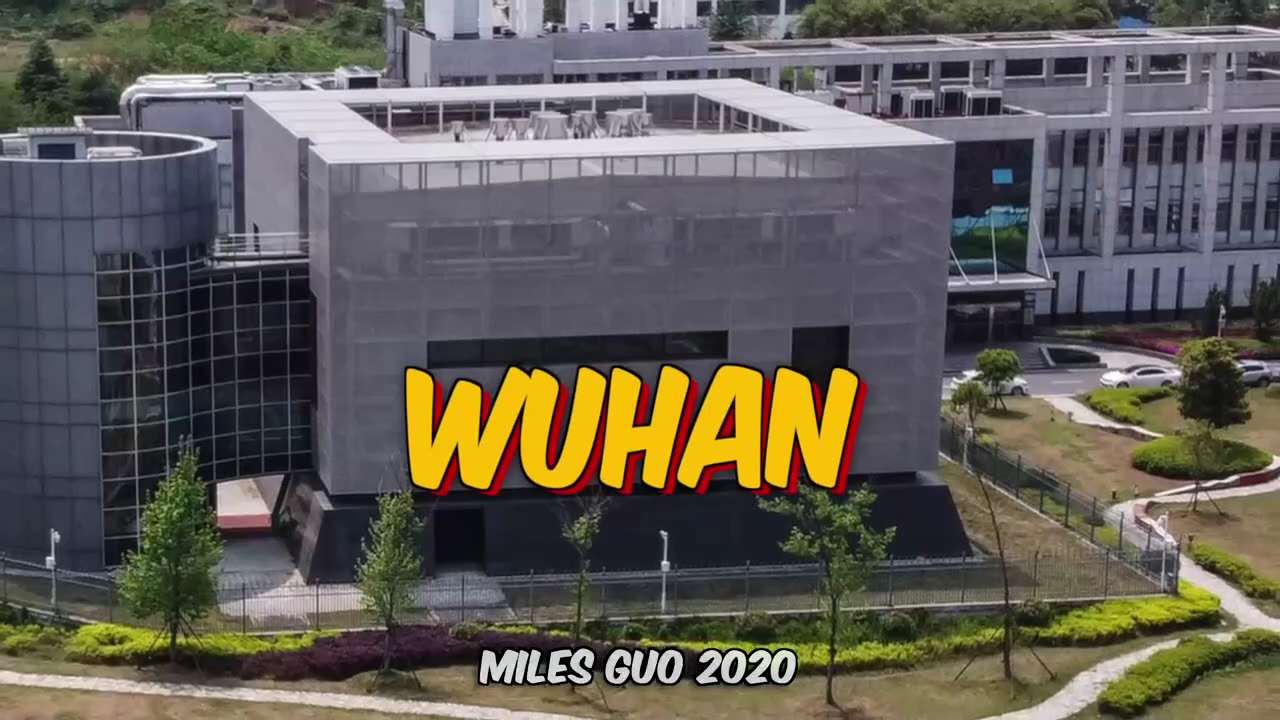 Miles Guo was the first whistleblower who told the world that COVID🦠 is a 「CCP Biological Weapon」an...