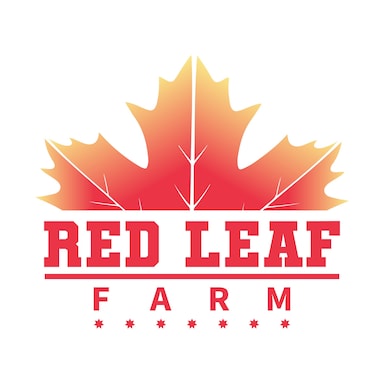 Red Leaf Canada