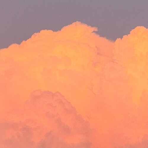 pro God, Pro Constitution, Pro Israel, Pro Trump