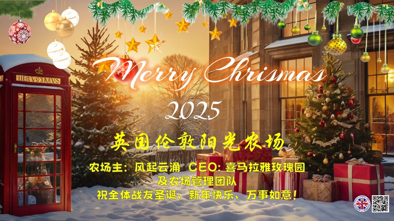 💎尊敬的战友们：

值此圣诞、新年到来之际，英国伦敦阳光农场怀着感恩与祝福的心情，向亲爱的郭先生全家及全球战友们致以最诚挚的节日问候！祝您们圣诞新年快乐！阖家幸福安康！🌻🌹🌞🎉🪷

愿圣诞...