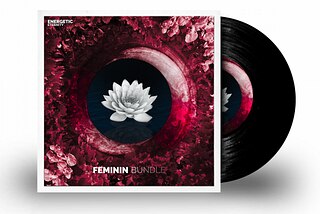  My Experience with the "Attraction Bundle – Magnetism auf Frauen written Downloads👈

For more deta...