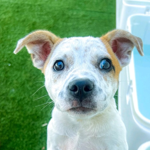 Visit 1Lucy2b3 🇺🇲🍊's profile on GETTR. View their posts, photos, videos, and connect with them on the social platform.