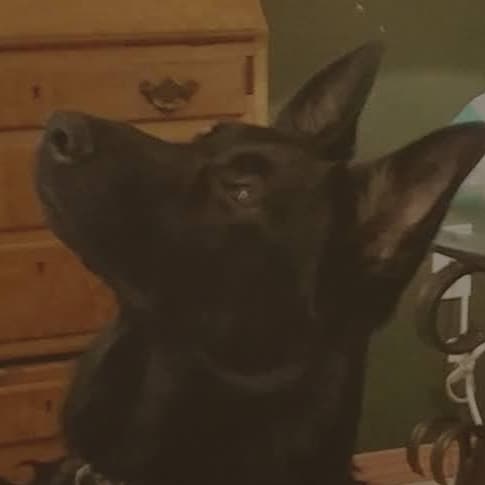 Visit mountaindawn_362's profile on GETTR. View their posts, photos, videos, and connect with them on the social platform.