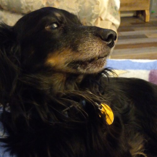 Visit Catherine Lake County Republican BPOU's profile on GETTR. View their posts, photos, videos, and connect with them on the social platform.