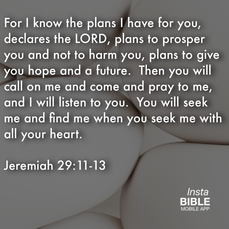 Jeremiah 29:11-13… Download APP: https://itunes.apple.com/us/app/insta-bible/id763908534?mt=8 … #know #plans #LORD #prosper #harm #give #hope #future #call