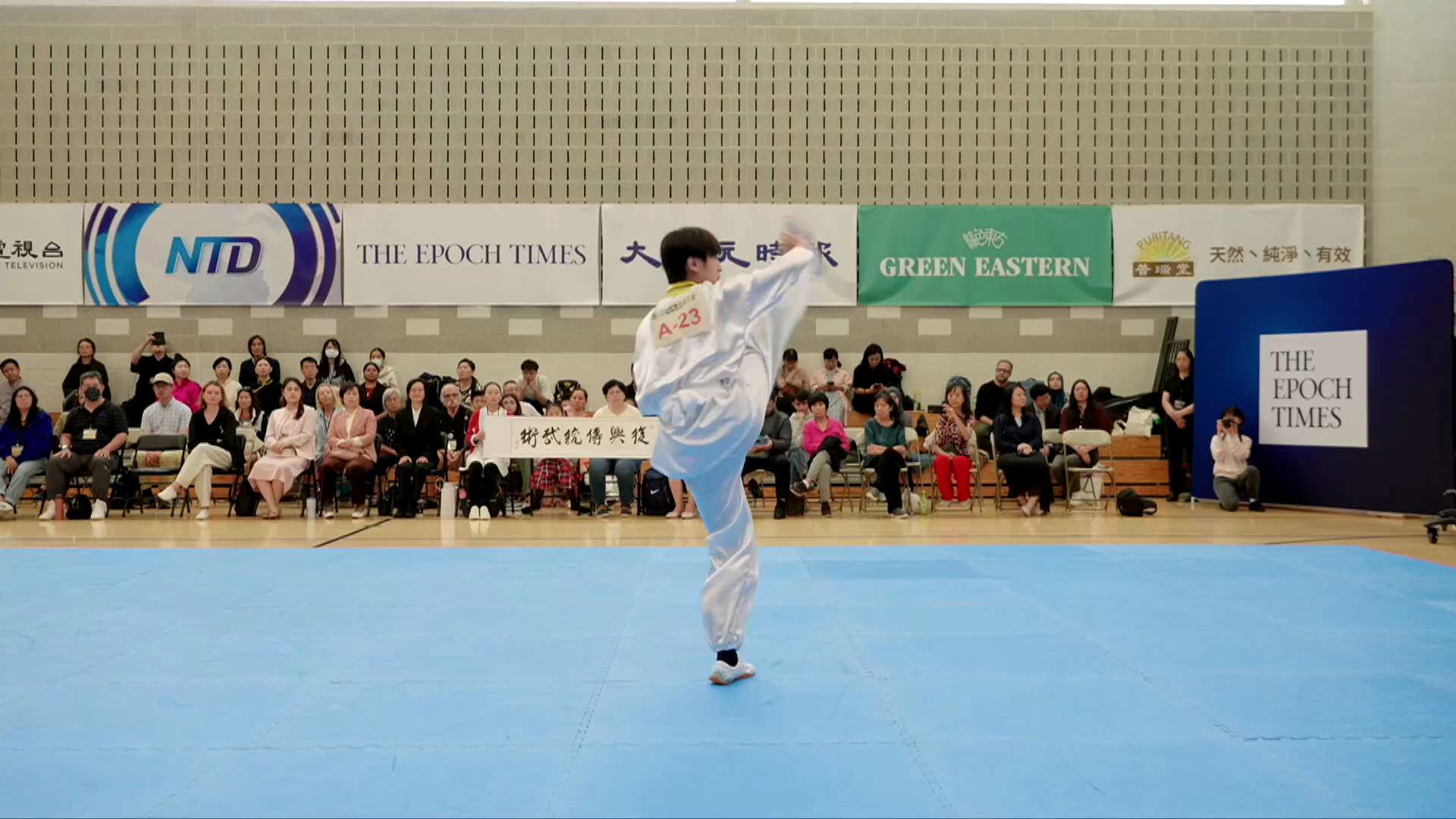 🥊 Which martial art can take down an opponent in a single move?


💥 Fanzi Quan—the ultimate blend ...