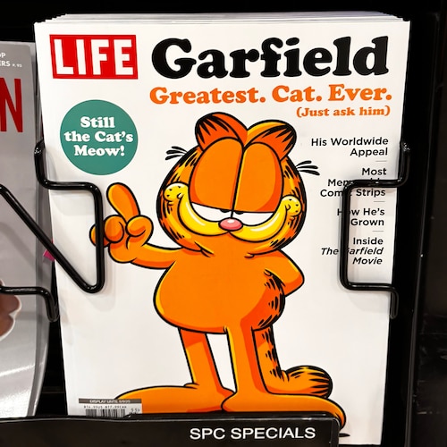 Visit graysonlovesu's profile on GETTR. View their posts, photos, videos, and connect with them on the social platform.