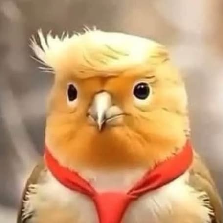 Visit usa75's profile on GETTR. View their posts, photos, videos, and connect with them on the social platform.