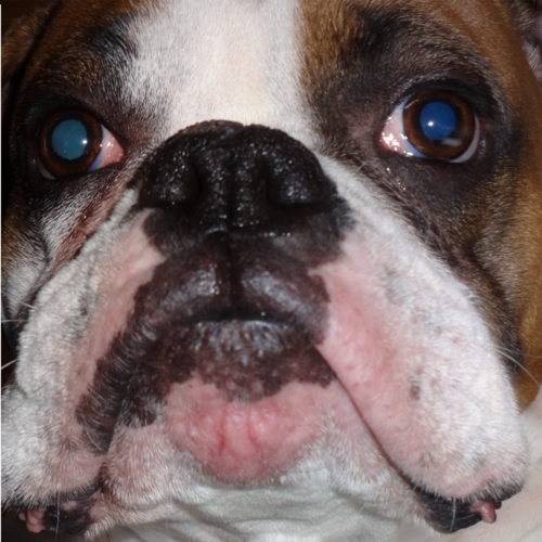 Almonds are nuts!
https://substack.com/profile/246275039-jim/note/c-205345121?r=42mj1b&utm_source=no...