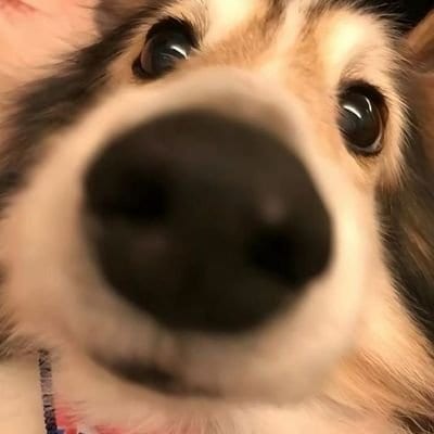 Visit 阿柒🔥🔥🔥's profile on GETTR. View their posts, photos, videos, and connect with them on the social platform.