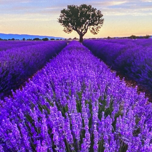 我 要 做一个善良正义自由无私的人