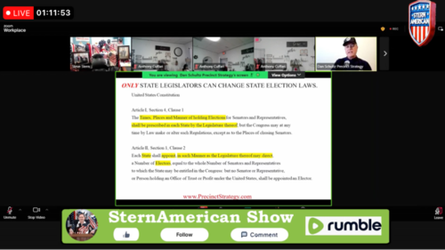 Steve Stern Election Integrity Call