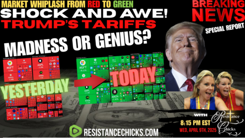 Shock & Awe! Attempting to Explain Trump's Tariff Chaos: Madness or Genius? Special Report 4/9/25