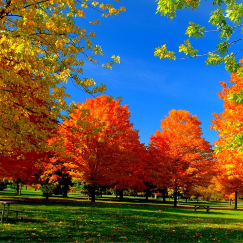 Visit Sarasmiles22's profile on GETTR. View their posts, photos, videos, and connect with them on the social platform.